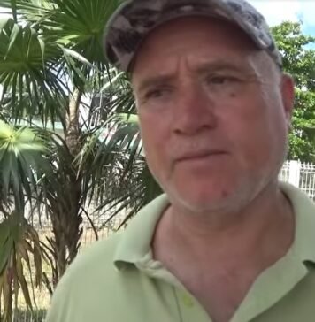 Productores logran seleccionar su miel